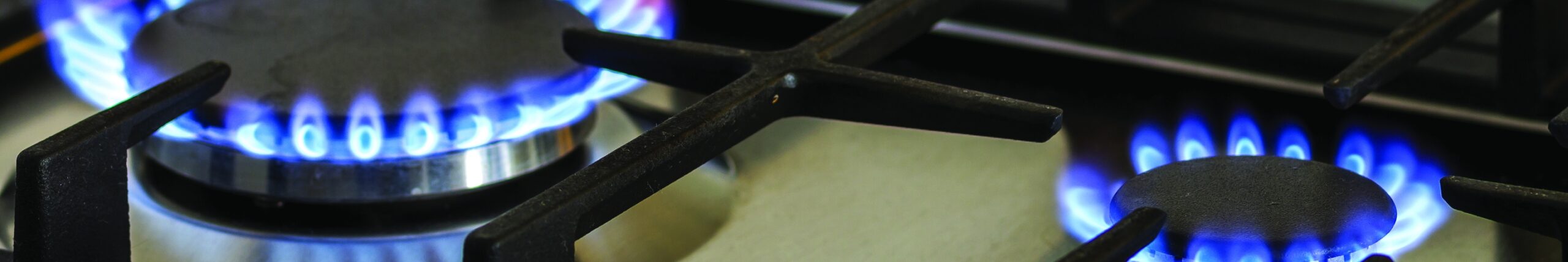 Why Natural Gas? Header Image